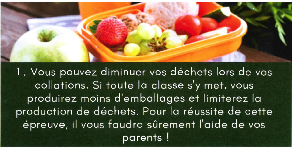 Défi écologique